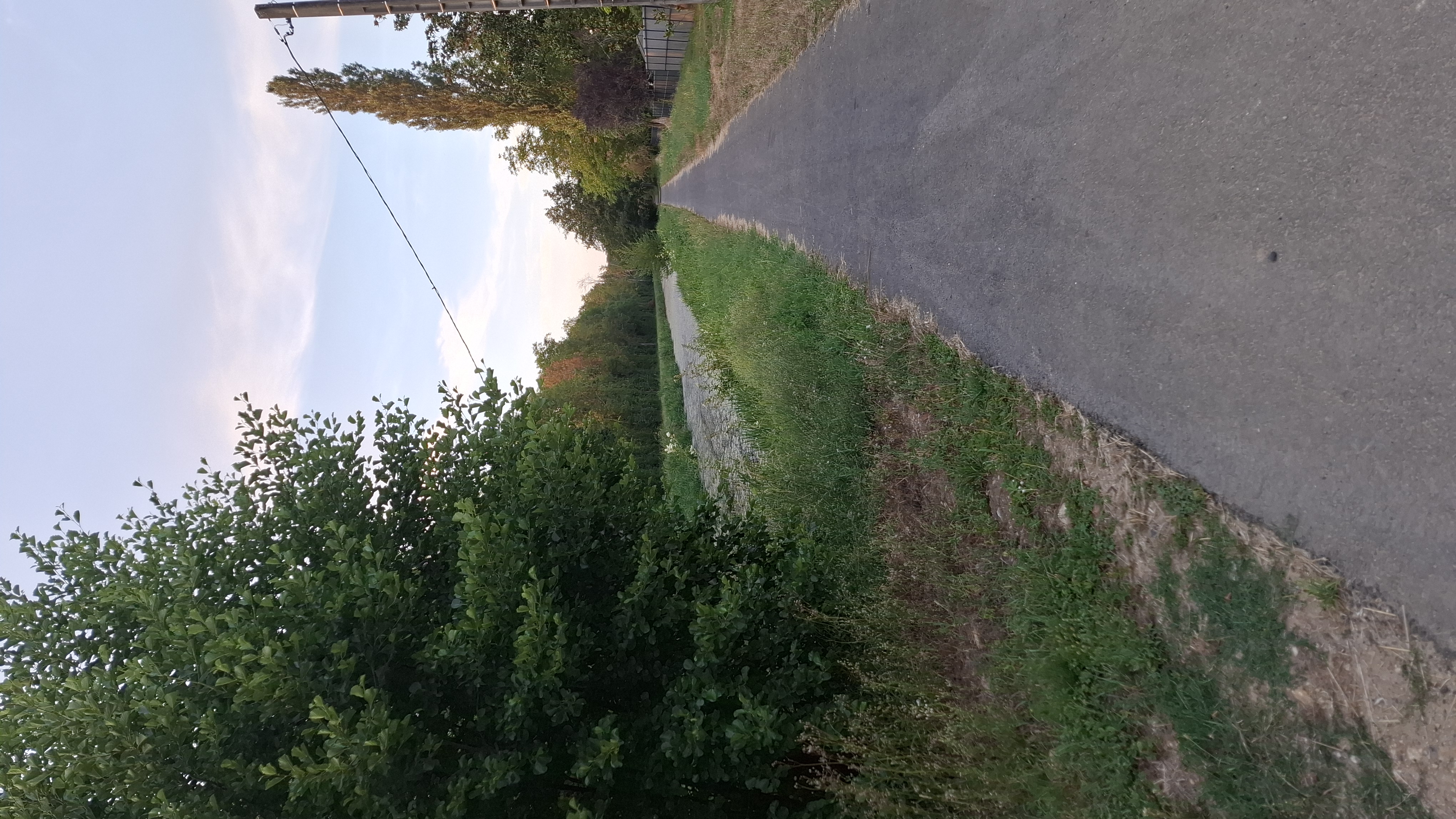 Photo du Canal de Berry