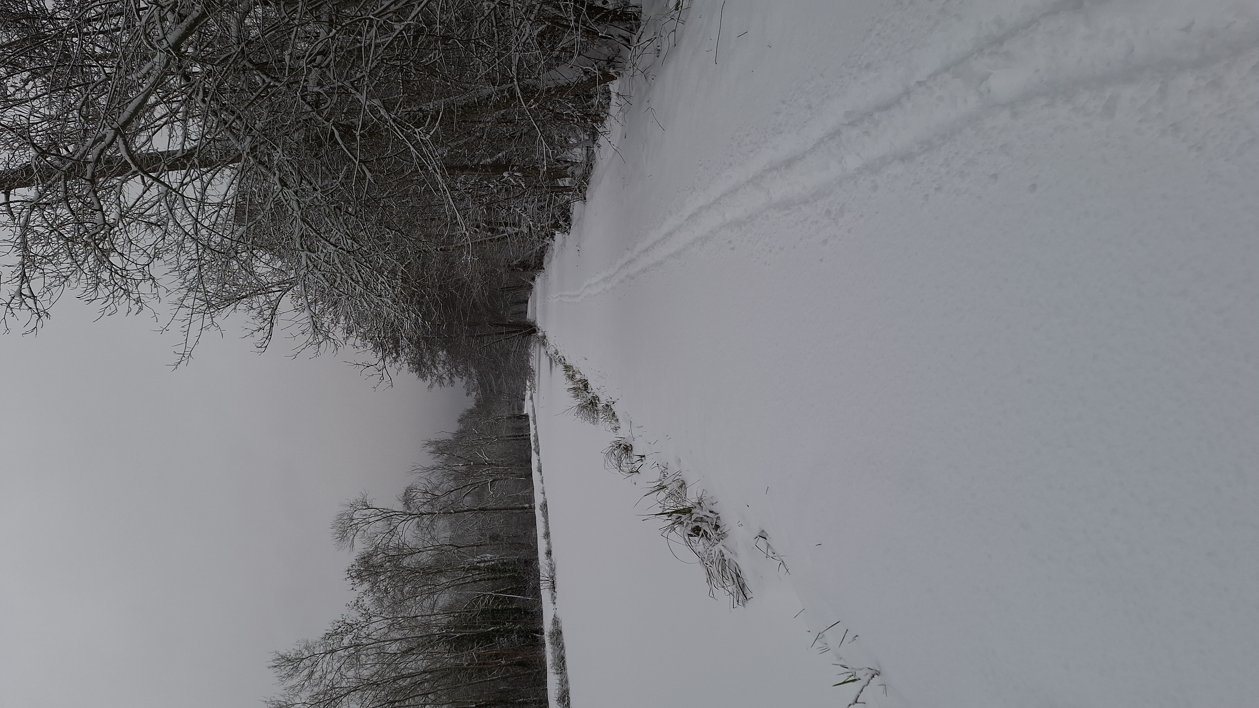 Photo du Canal de Berry