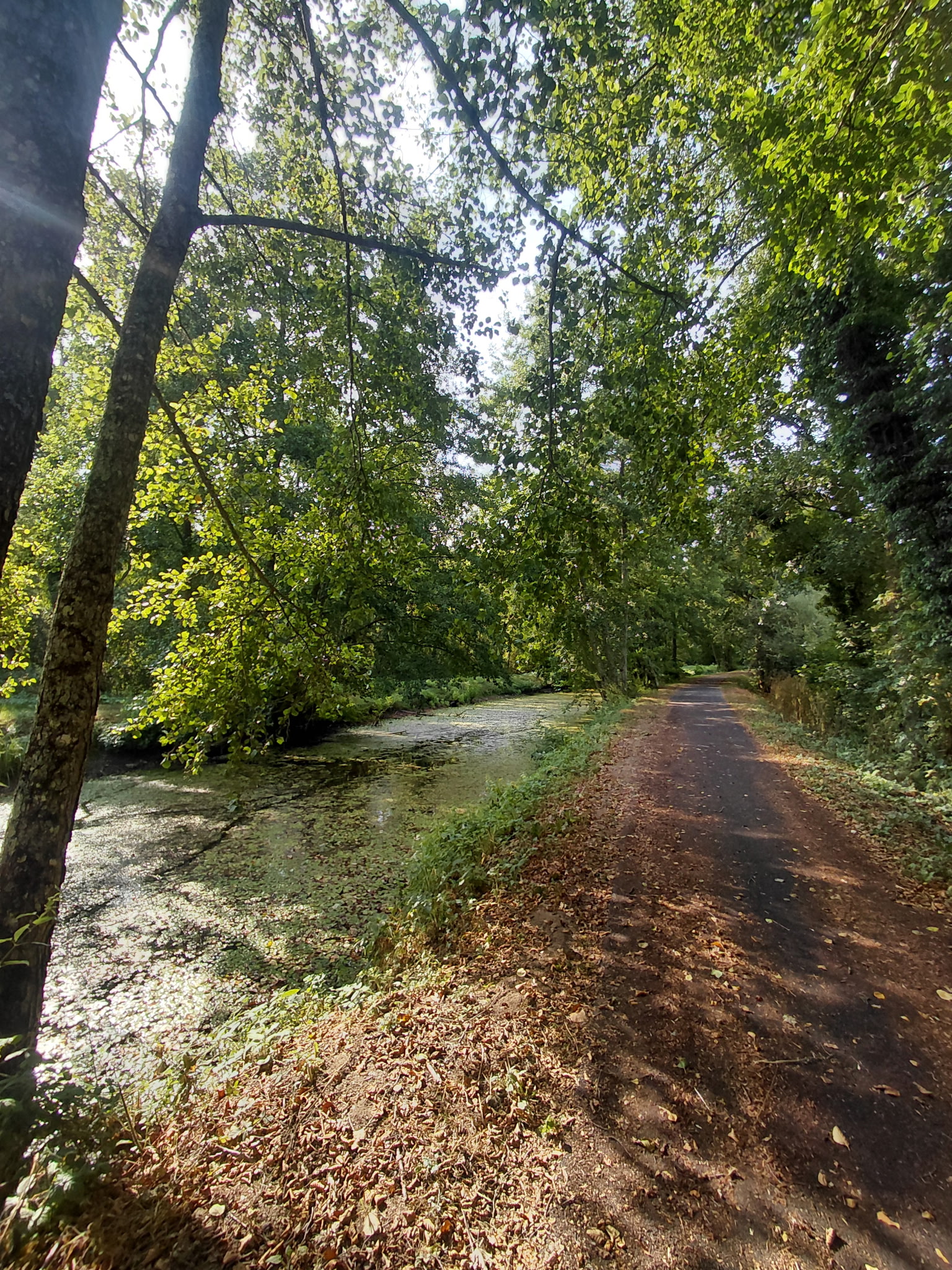 Photo du Canal de Berry